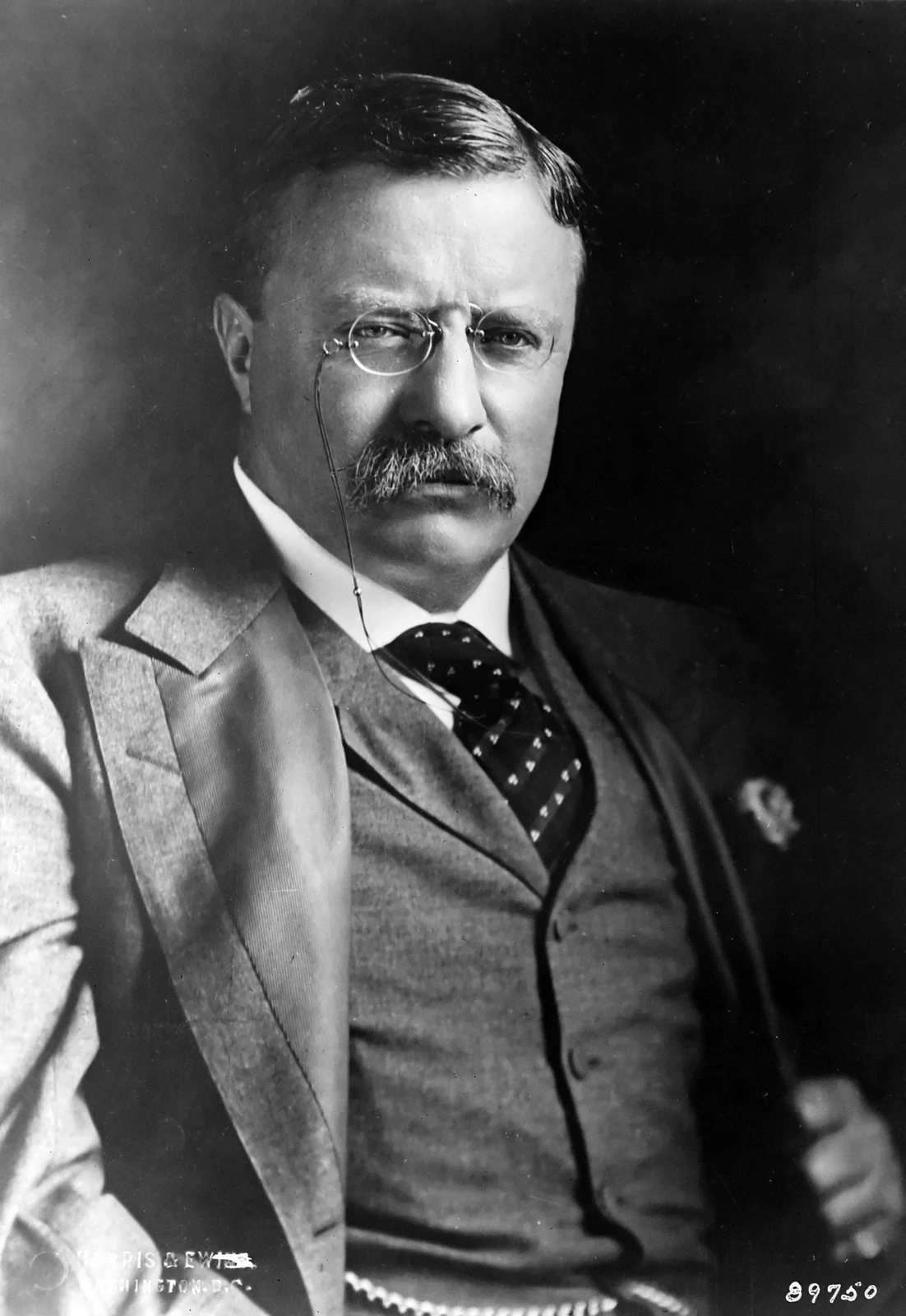 Portrait of Theodore Roosevelt