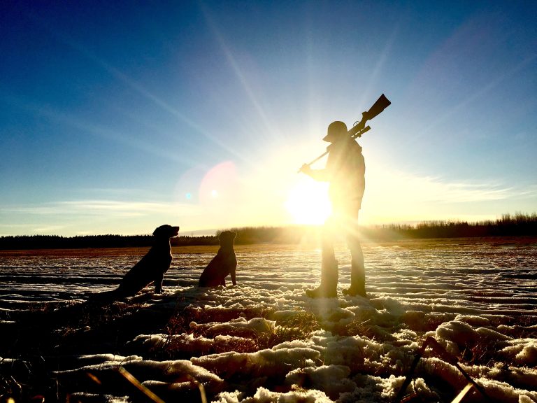 hunter with hunting rifle and dogs sunset