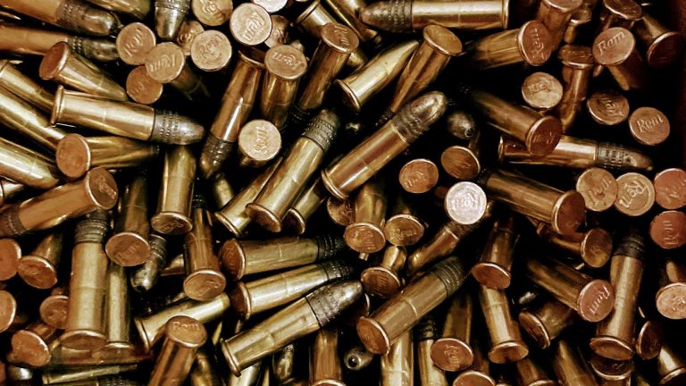close up of .22 rifle ammo